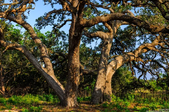 a view of an ocean and a mountain