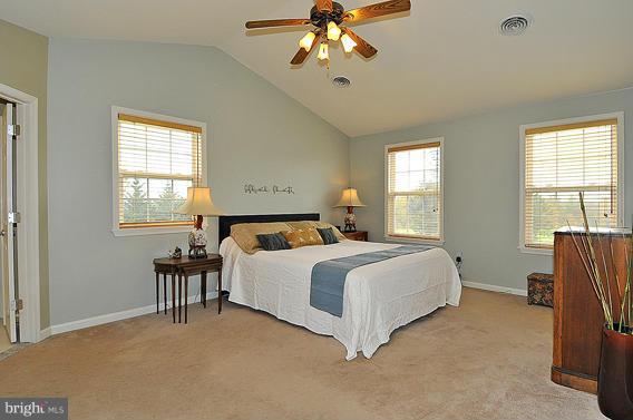14762 Shirley Bohn Road Mount Airy, MD 21771 - Photo 14 of 30 Master Bedroom Suite with Cathedral Ceiling