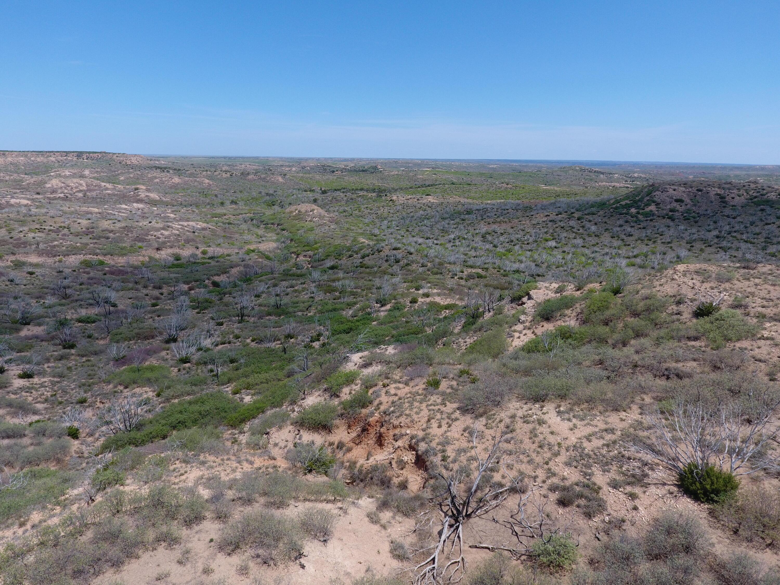 T8 County Road 22 Clarendon, TX 79226 - Photo 1 of 10 a view of a field with an trees
