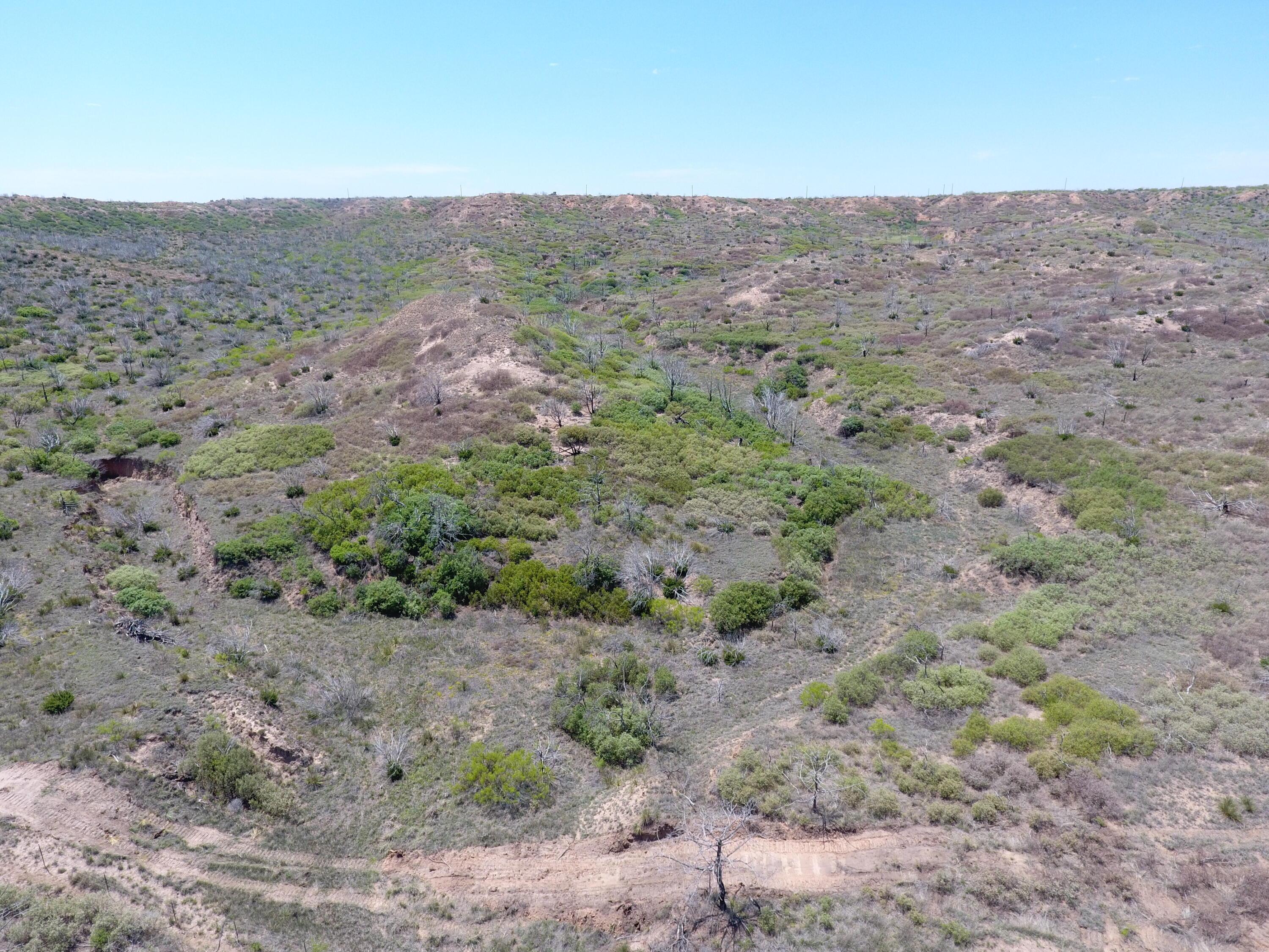 T8 County Road 22 Clarendon, TX 79226 - Photo 3 of 10 a view of a dry field