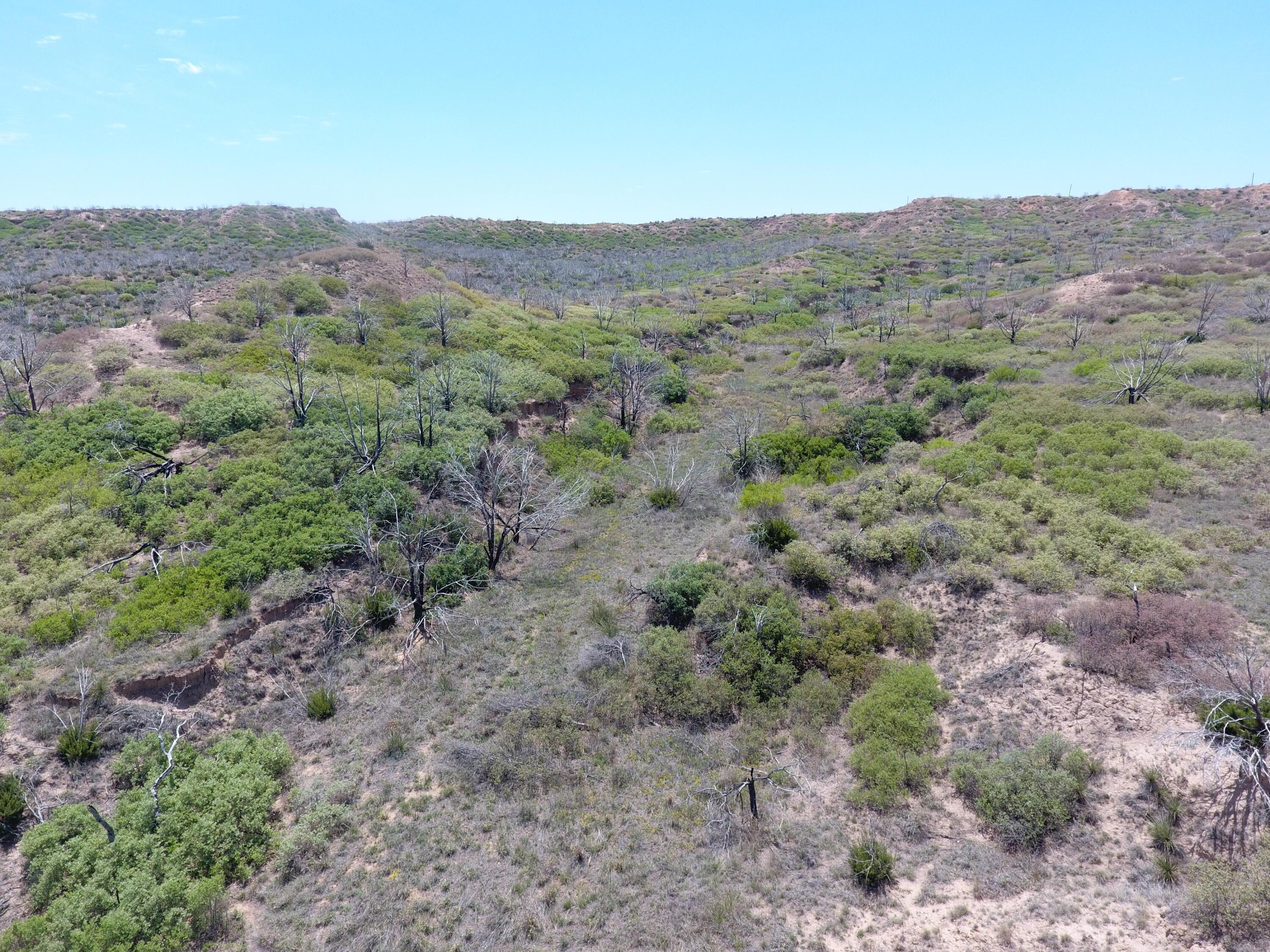 T8 County Road 22 Clarendon, TX 79226 - Photo 4 of 10 a view of a mountain range with trees