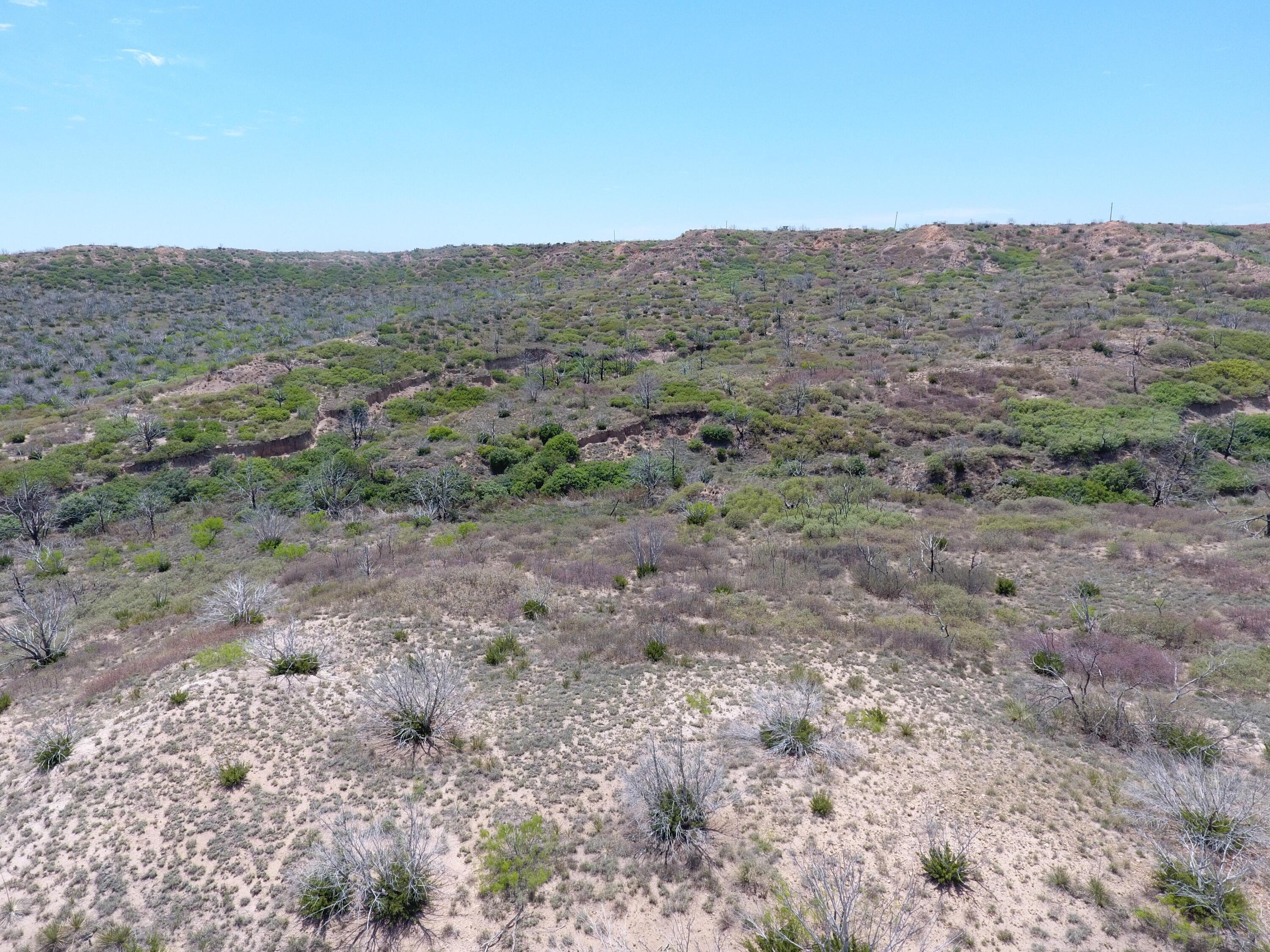 T8 County Road 22 Clarendon, TX 79226 - Photo 5 of 10 a view of a dry field