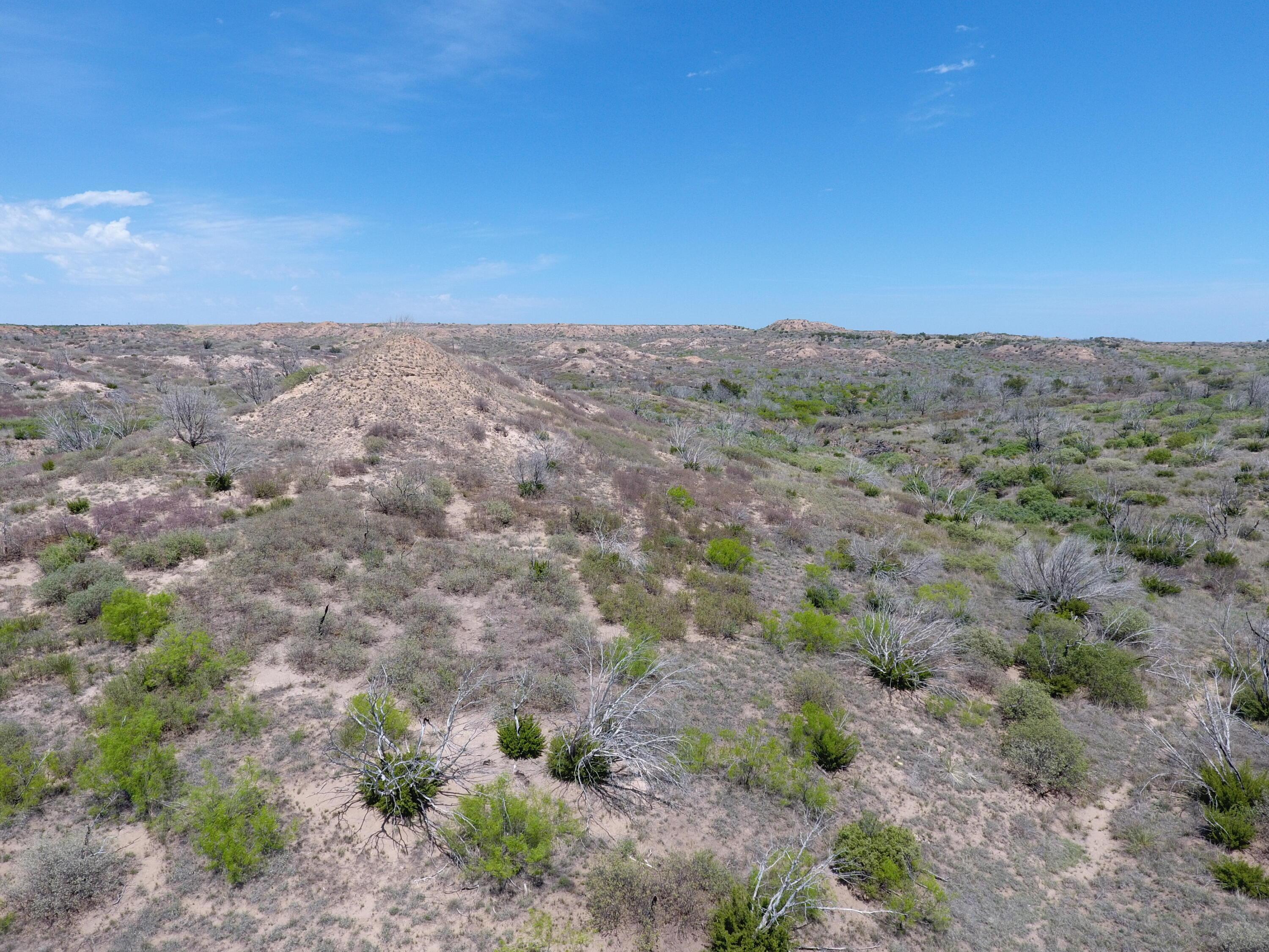T8 County Road 22 Clarendon, TX 79226 - Photo 6 of 10 a view of a dry field with mountains in the background