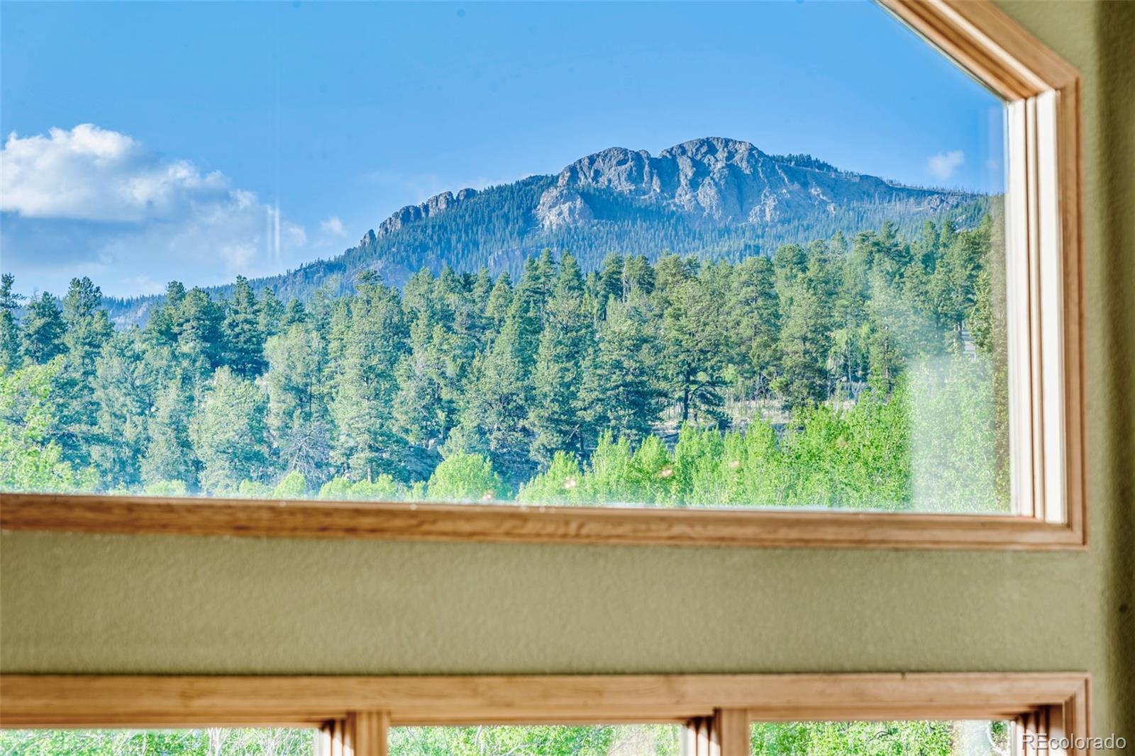 1996 Al Gulch Road Jefferson, CO 80456 - Photo 23 of 48