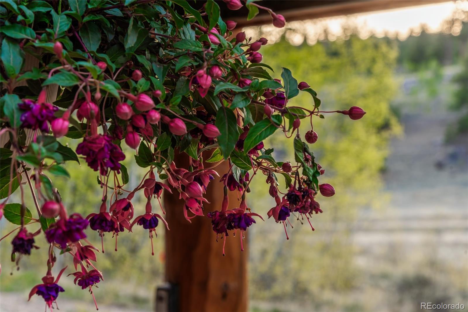 1996 Al Gulch Road Jefferson, CO 80456 - Photo 47 of 48