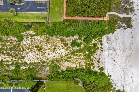 a view of a garden