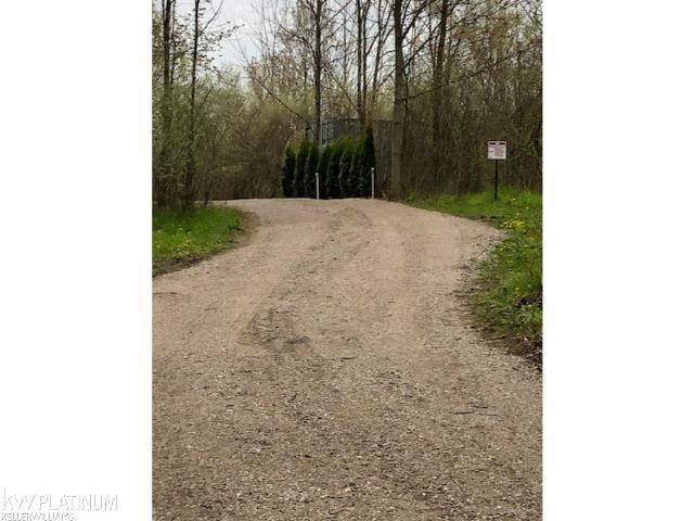 0 Burton Road Capac, MI 48014 - Photo 3 of 5