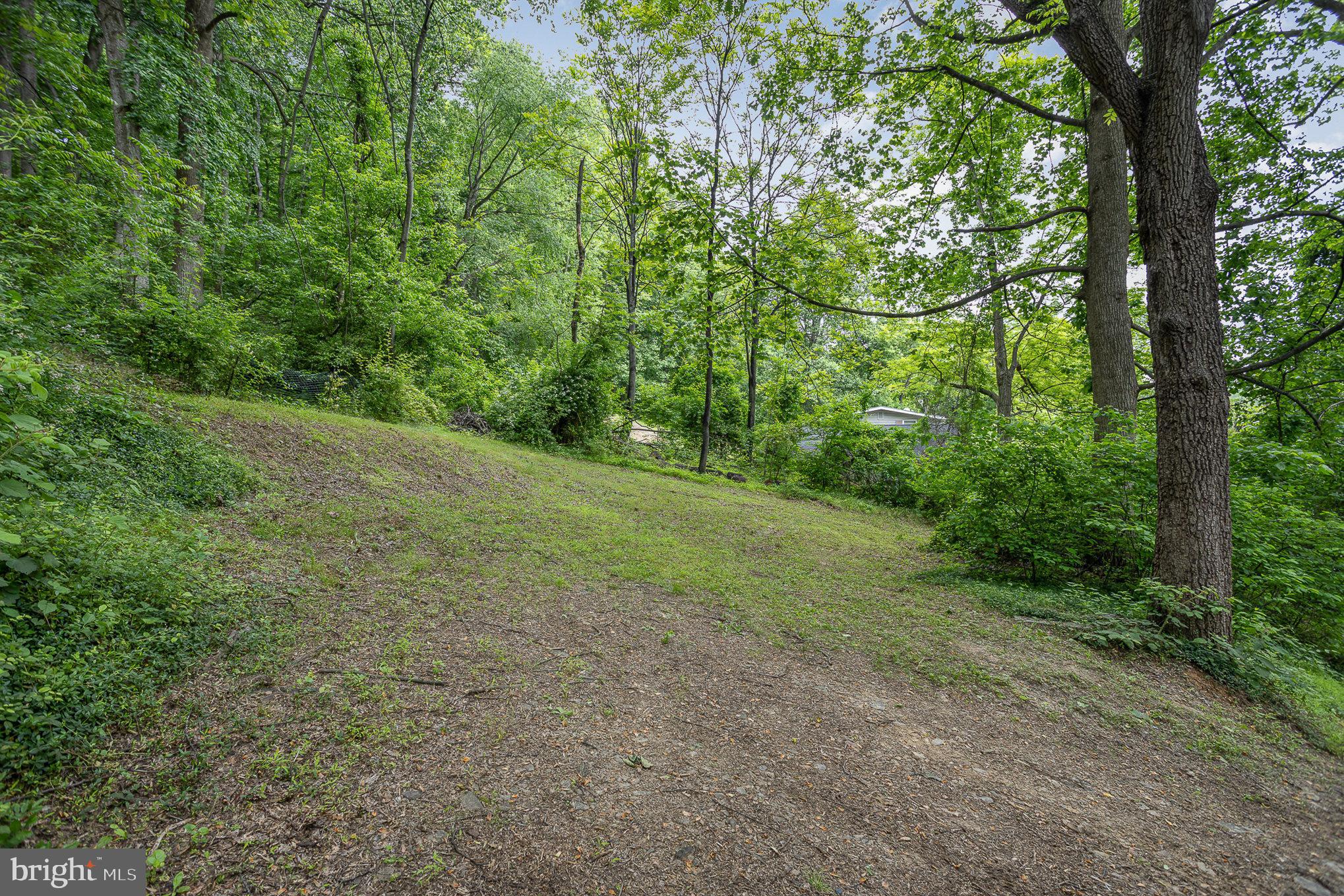 965 Pennsy Road Pequea, PA 17565 - Photo 17 of 24 a big yard with lots of green space and deers