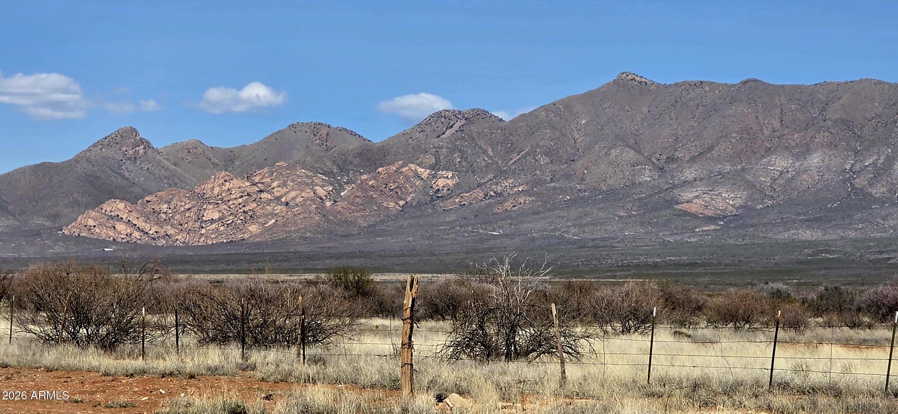 Lot 1 North Night Sky Road, Unit 1 McNeal, AZ 85617 - Photo 2 of 11 a view of a dry yard with mountains in the background