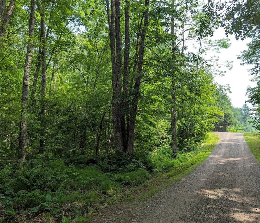 0 Price Dam Road Winter, WI 54896 - Photo 1 of 1 Gallery Image 1