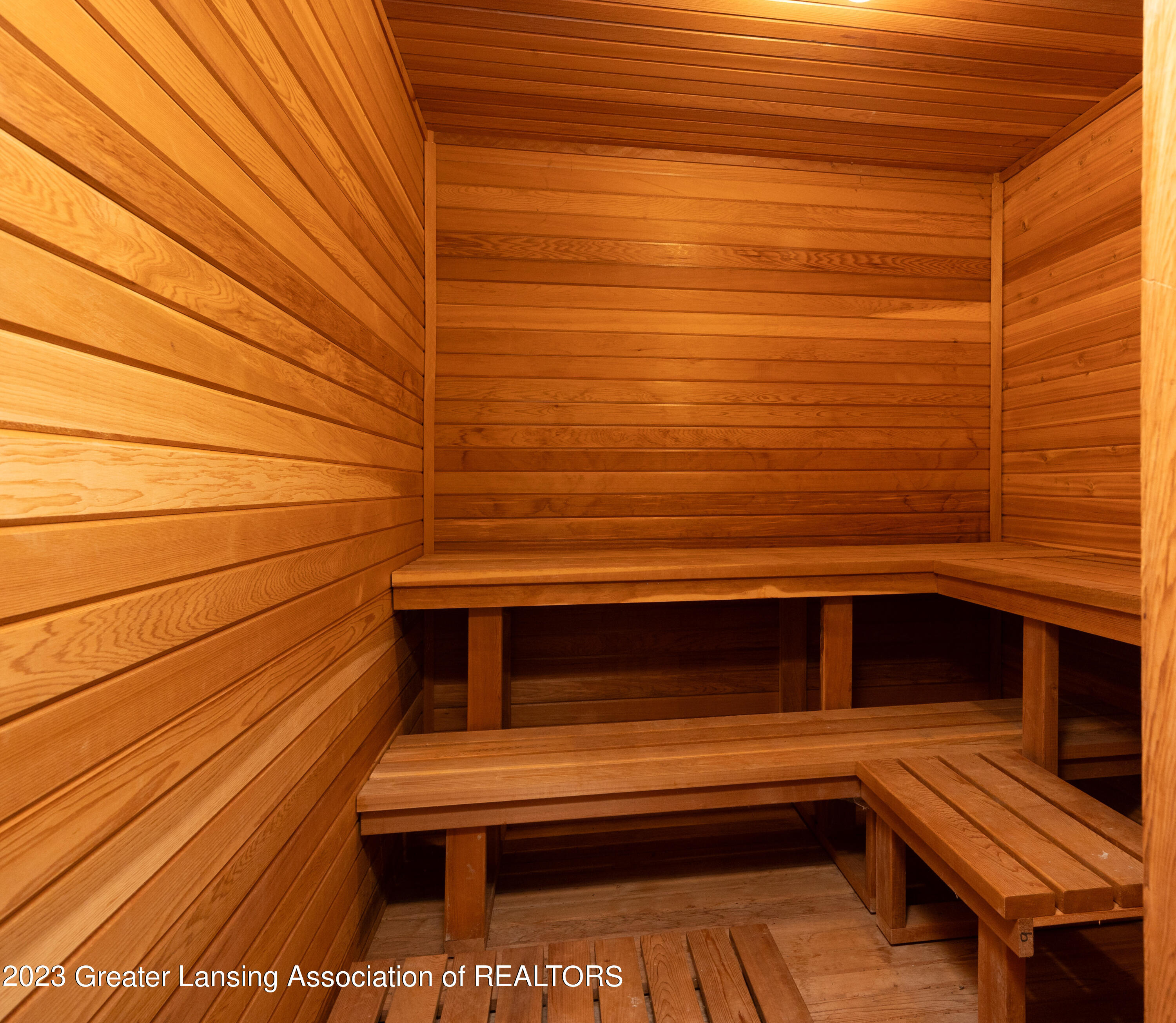 12102 Raelyn Hills Drive Perry, MI 48872 - Photo 27 of 28 Sauna - Basement