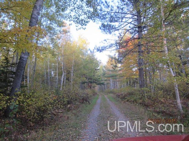 Tbd WPA Road Crystal Falls, MI 49920 - Photo 32 of 33