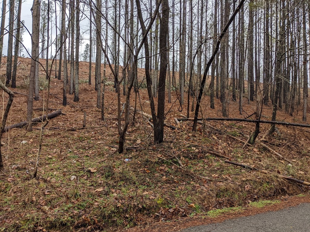 696 Dake Road Decatur, TN 37322 - Photo 11 of 14