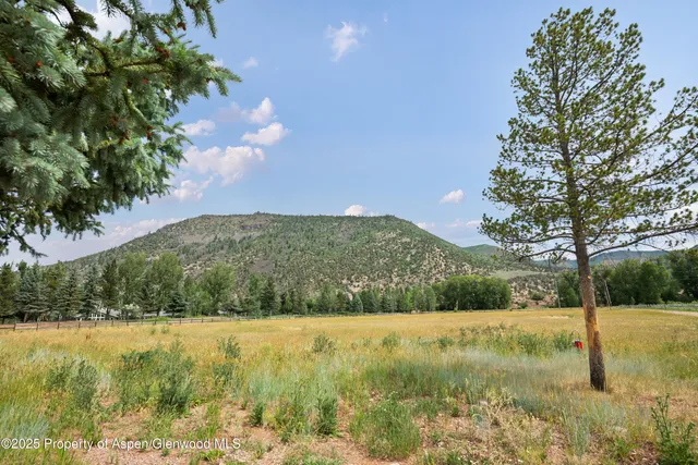 a view of a yard with a house
