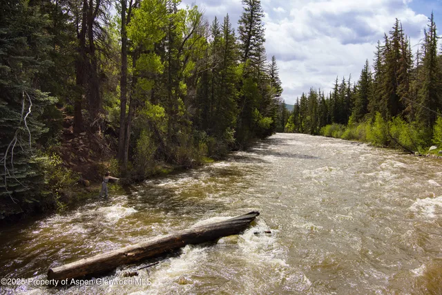 a view of a yard with trees