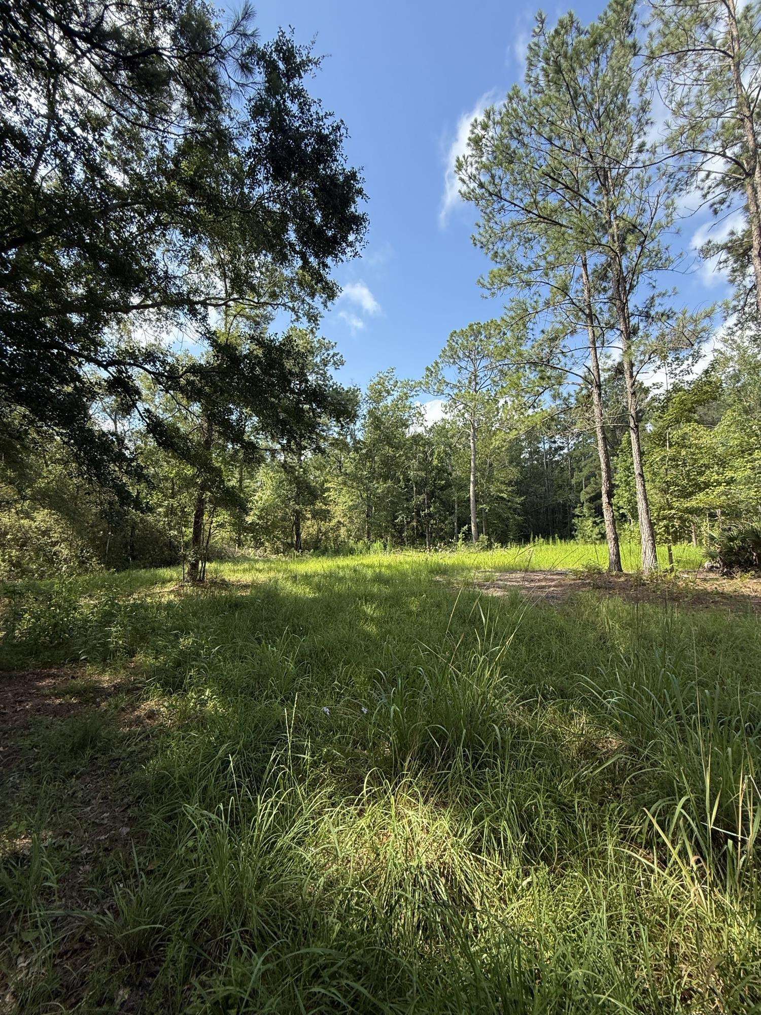 Xxx Neely Road Monticello, FL 32344 - Photo 24 of 37