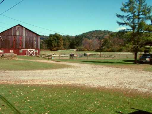 559 Pine Run Road Apollo, PA 15613 - Photo 4 of 8 Stable/Barn.