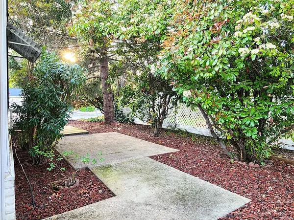 a view of a backyard