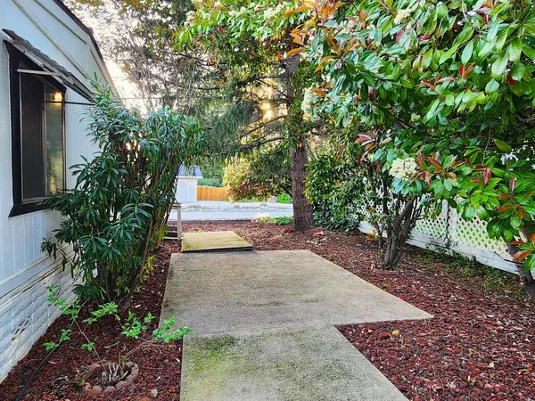 a view of a yard with plants and trees