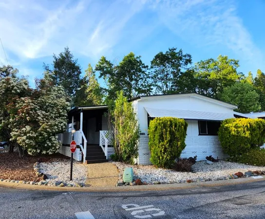 a view of a backyard with plants
