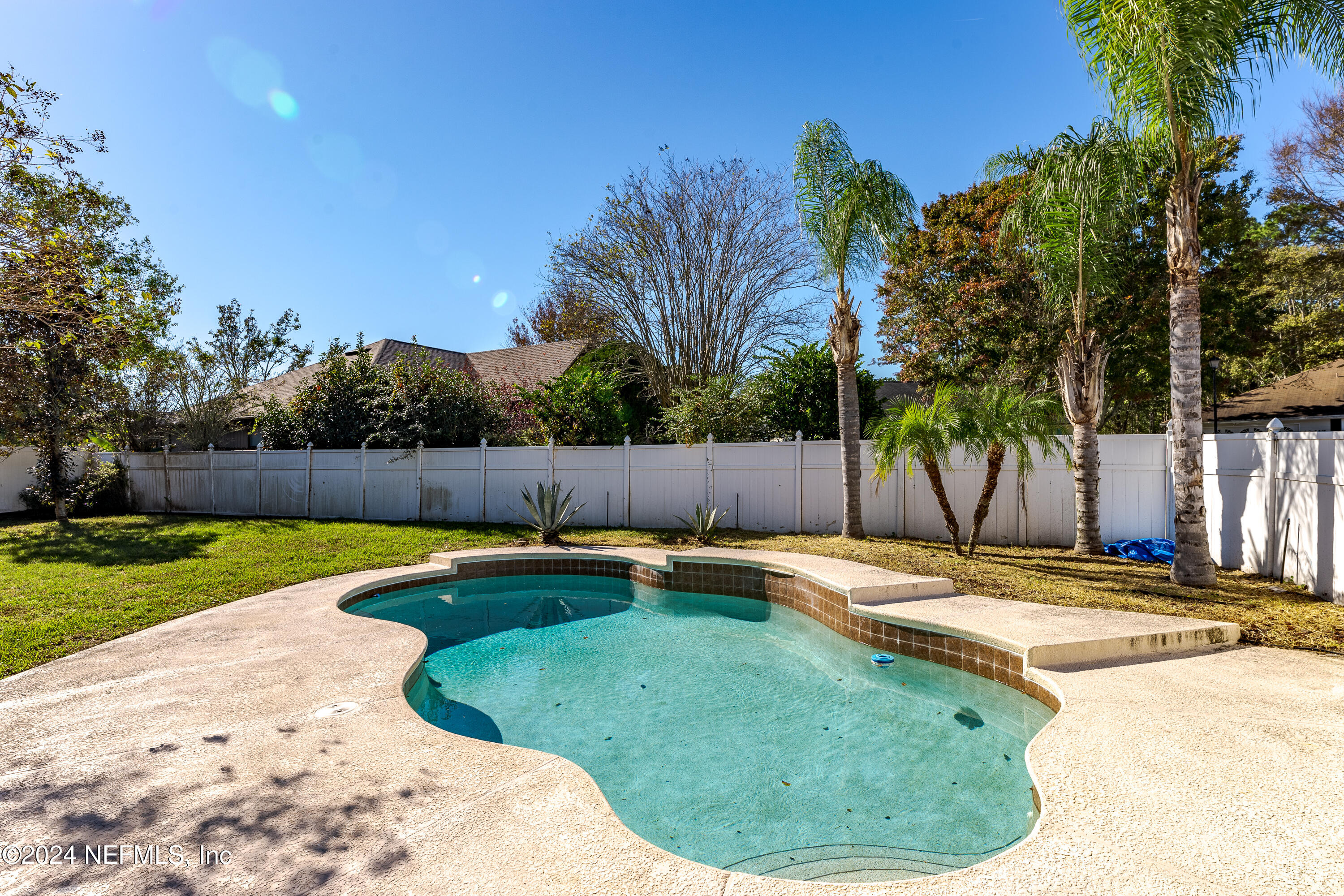 1646 Rusty Rail Road Jacksonville, FL 32225 - Photo 17 of 31 a view of a swimming pool with a yard and palm trees