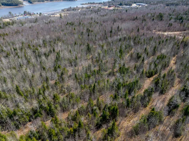 $349,000 | 0 South River Road, Calais, ME 04619