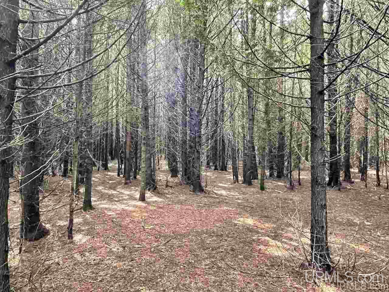 5348 W River Road Manistique, MI 49854 - Photo 8 of 49 Gallery Image 8