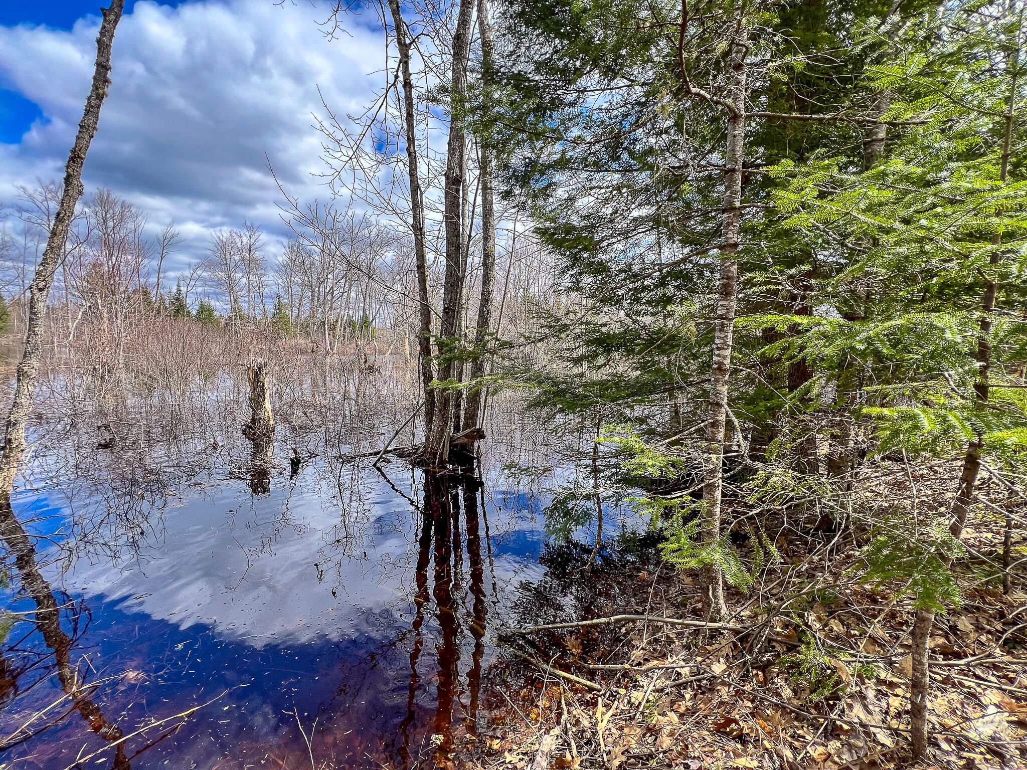 Lot 14-1 Pine Road Greenbush, ME 04418 - Photo 13 of 17 IMG_3786