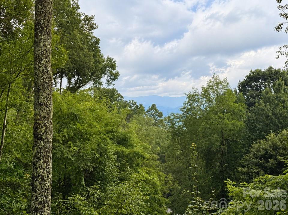 71 Ivy Ridge Road Burnsville, NC 28714 - Photo 10 of 28 Gallery Image 10
