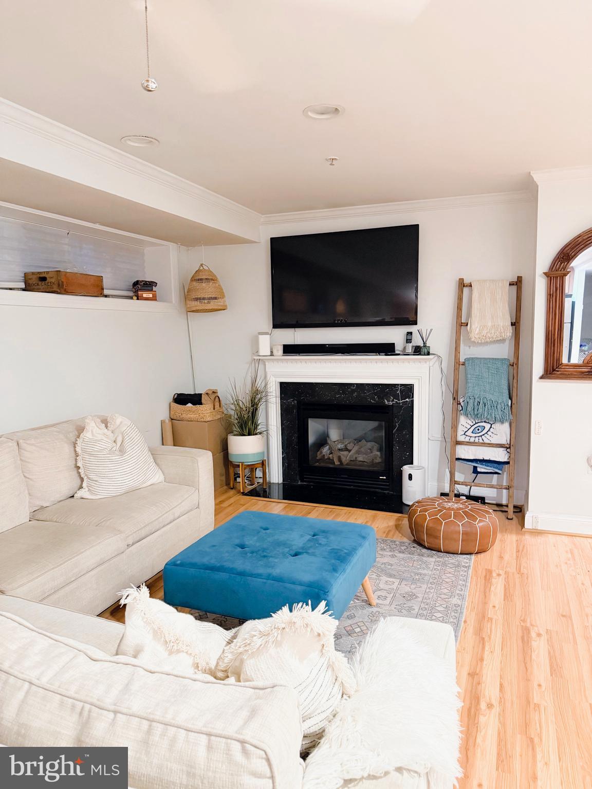 1300 Taylor Street Northwest, Unit 4 Washington, DC 20011 - Photo 8 of 35 a living room with furniture flat screen tv and a fireplace