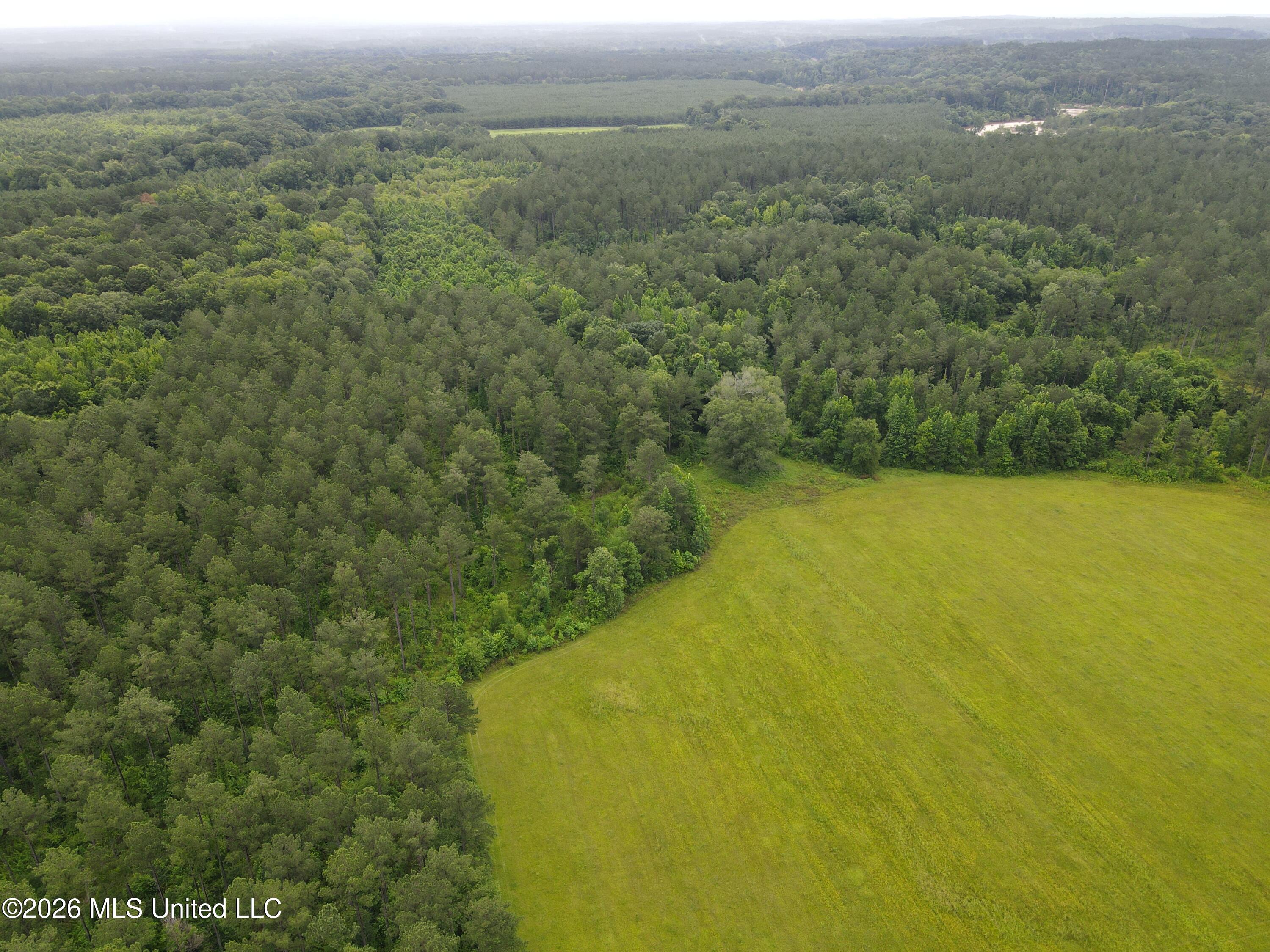 244 Foster Road Sontag, MS 39665 - Photo 88 of 105 35797