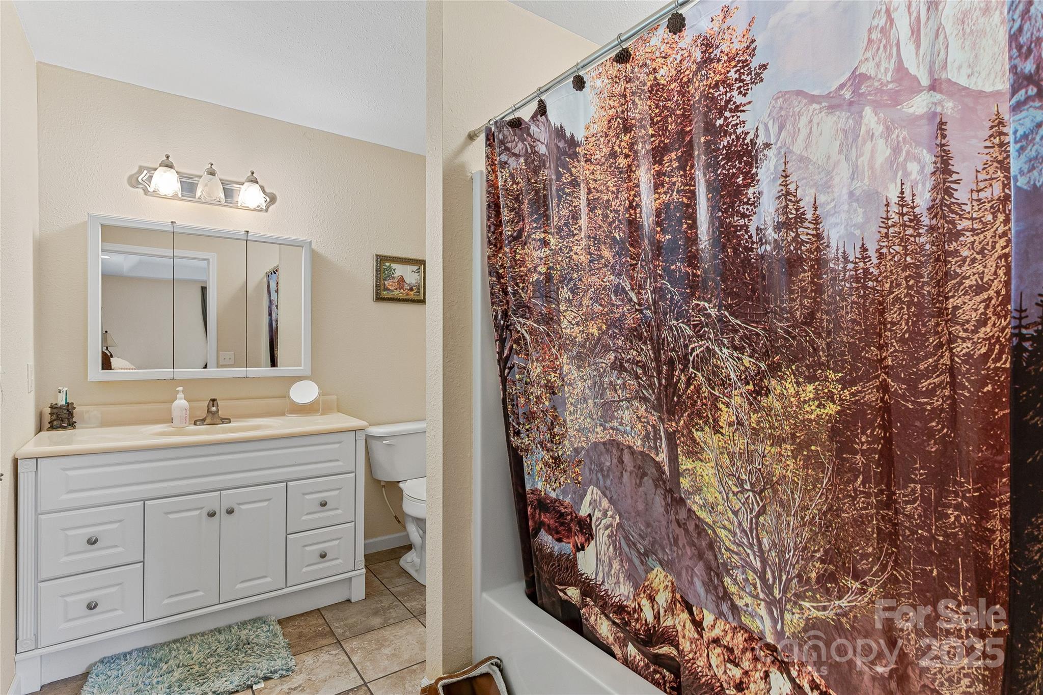 410 Lewis Road Rutherfordton, NC 28139 - Photo 18 of 23 a spacious bathroom with shower curtain and a mirror