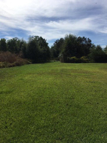 14854 Juniper Street North Foley, AL 36535 - Photo 23 of 25
