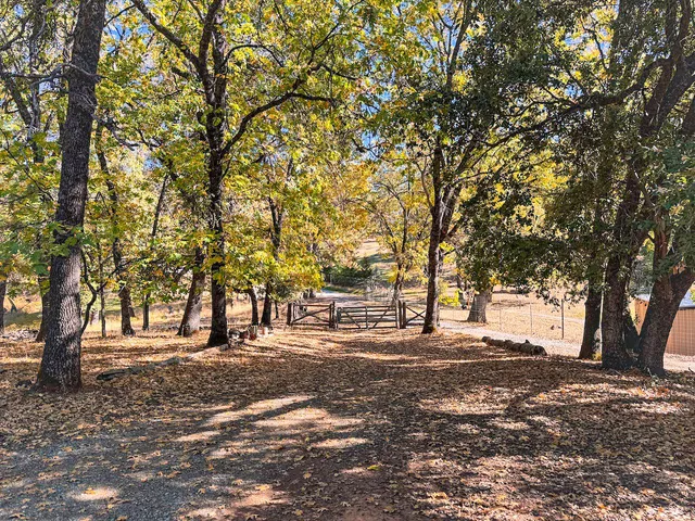 a view of road with trees