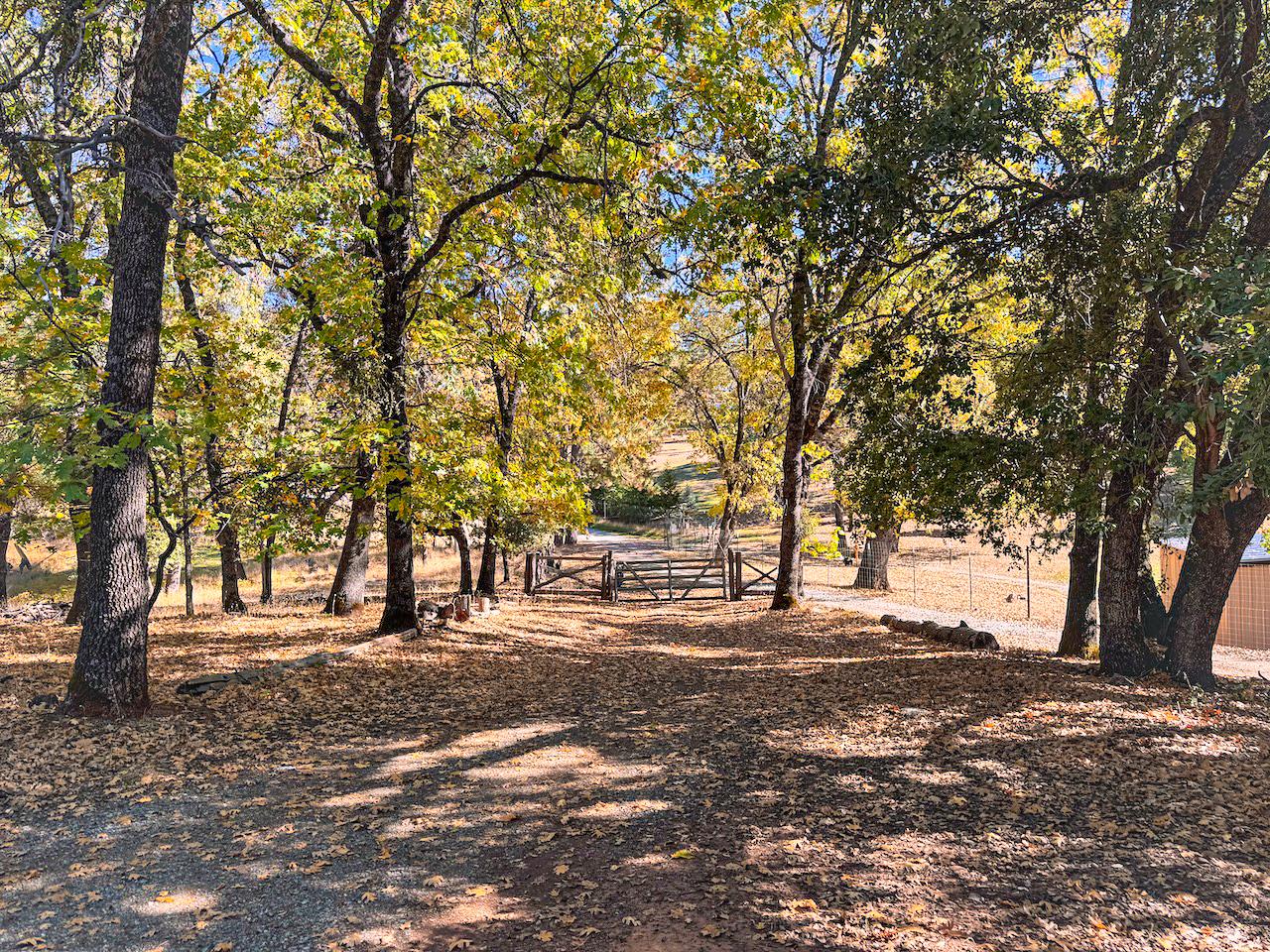 a view of road with trees