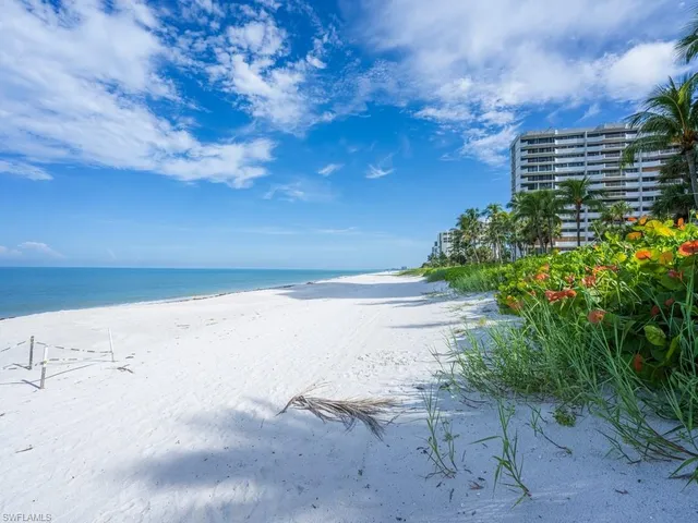 a view of a beach with a yard