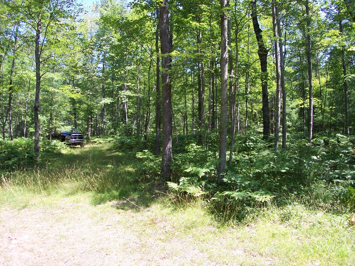 4297 North Red Oak Road Lewiston, MI 49756 - Photo 14 of 27 Gallery Image 14