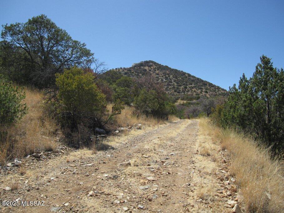 Tbd Tbd Keystone Road, Unit 17B Patagonia, AZ 85624 - Photo 5 of 6 a view of a dry yard with wooden fence