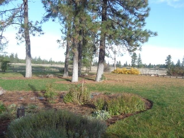 25624 South Harmony Road Cheney, WA 99004 - Photo 14 of 20