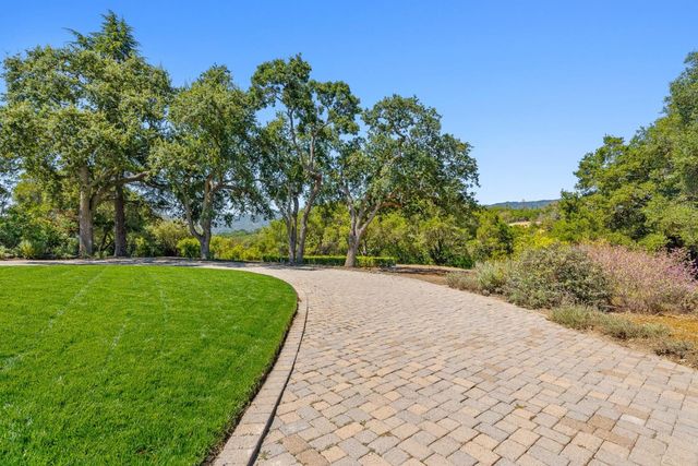 a view of a yard with flower plants