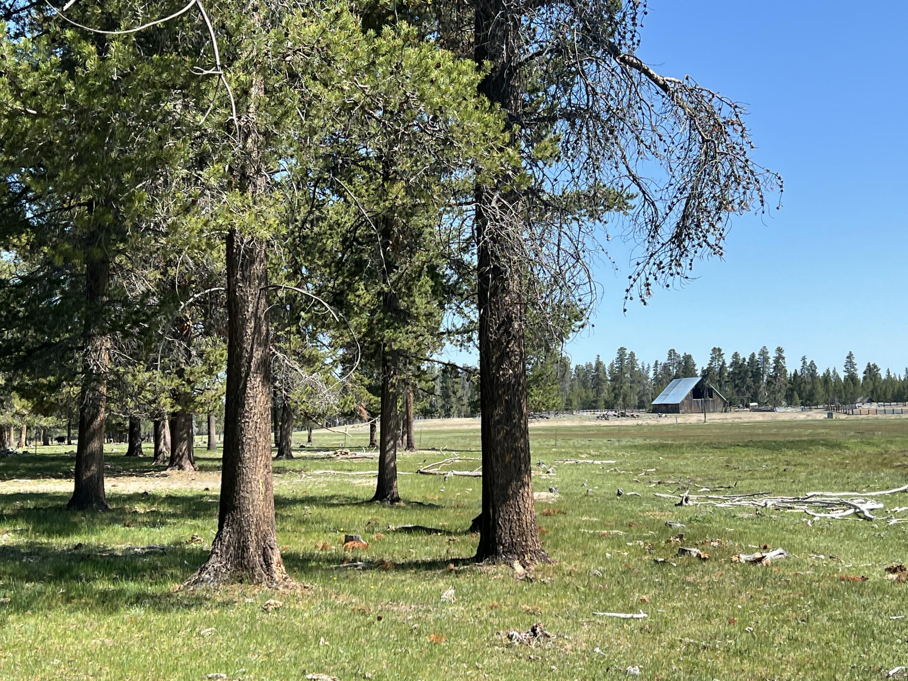 151772 Beal Road La Pine, OR 97739 - Photo 5 of 35 North view from pasture