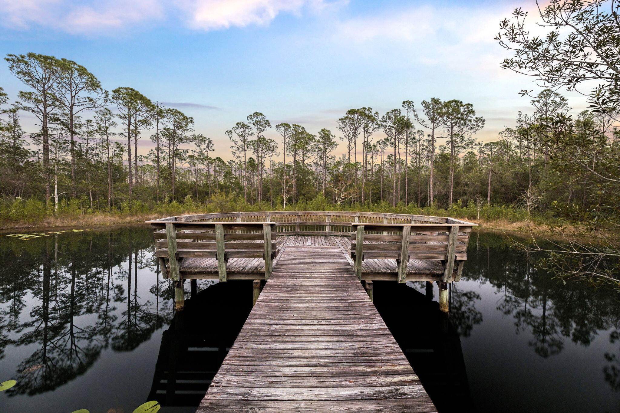 20 Pine Lily Circle Santa Rosa Beach, FL 32459 - Photo 63 of 70 Array_20PineLilyCircle-5
