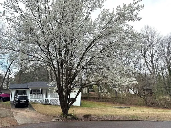 a car parked on the side of a road