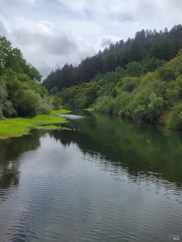 a view of a lake from a yard