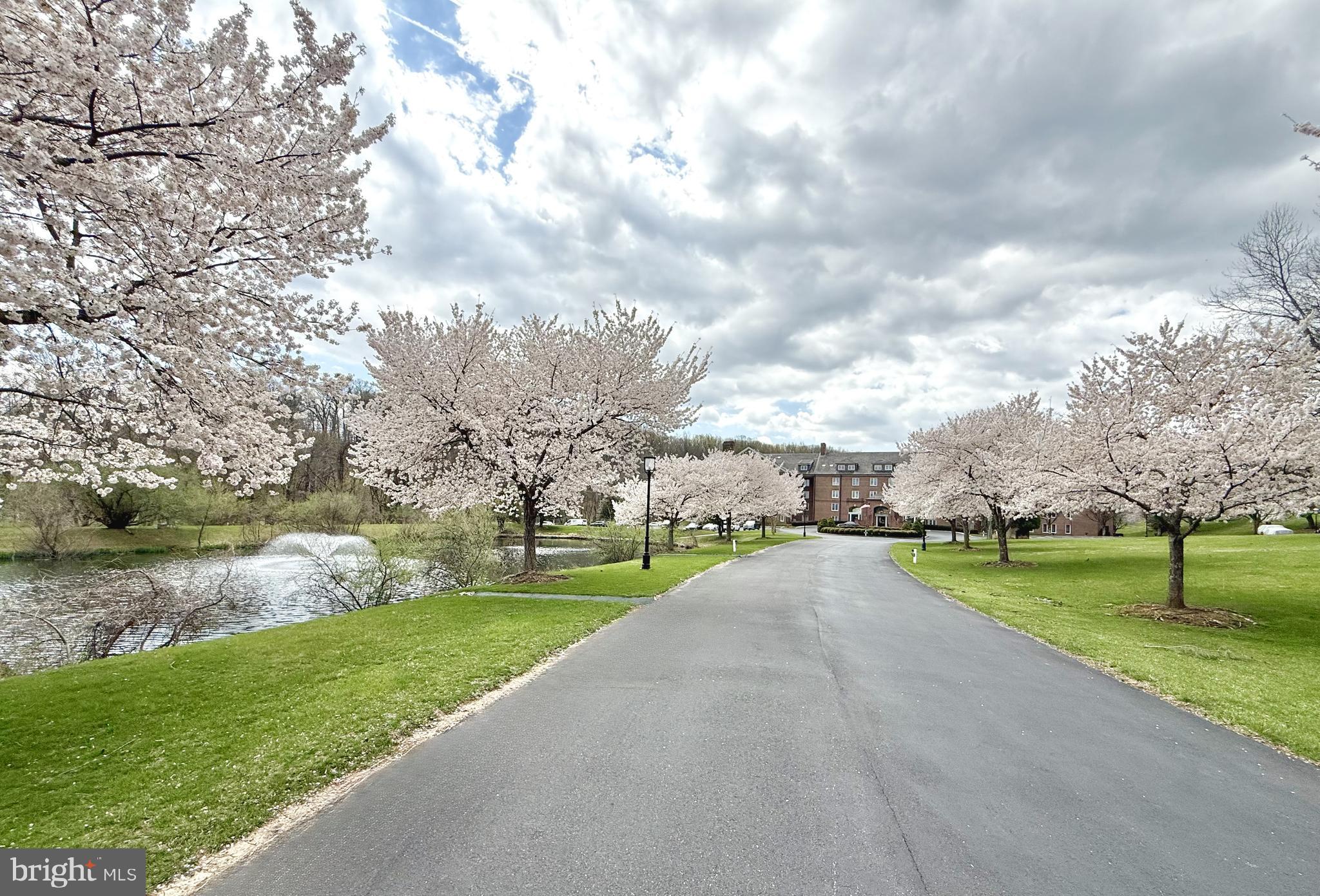 2331 Old Court Road, Unit 307 Baltimore, MD 21208 - Photo 2 of 54 a view of a park with large trees