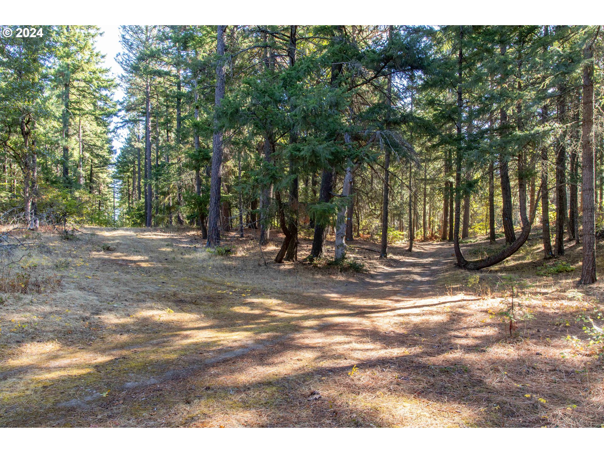 Paradise Ridge, Unit 1 Mosier, OR 97040 - Photo 1 of 22 Gallery Image 1