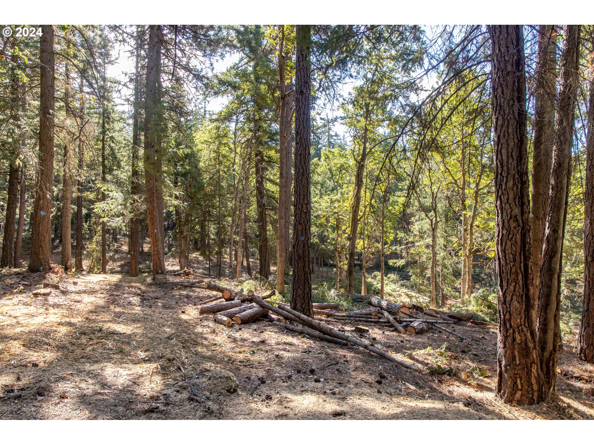 Paradise Ridge, Unit 1 Mosier, OR 97040 - Photo 11 of 22 Gallery Image 11