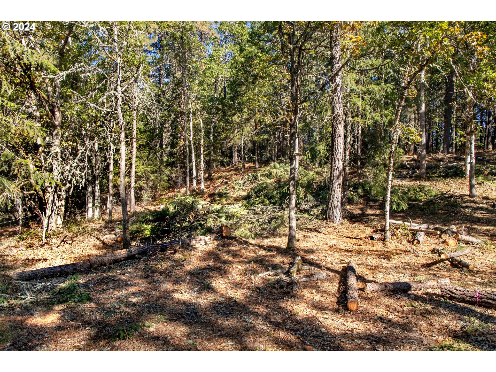 Paradise Ridge, Unit 1 Mosier, OR 97040 - Photo 13 of 22 Gallery Image 13
