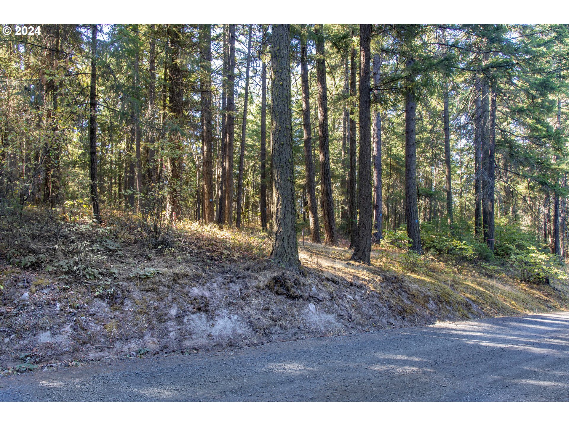 Paradise Ridge, Unit 1 Mosier, OR 97040 - Photo 17 of 22 Gallery Image 17