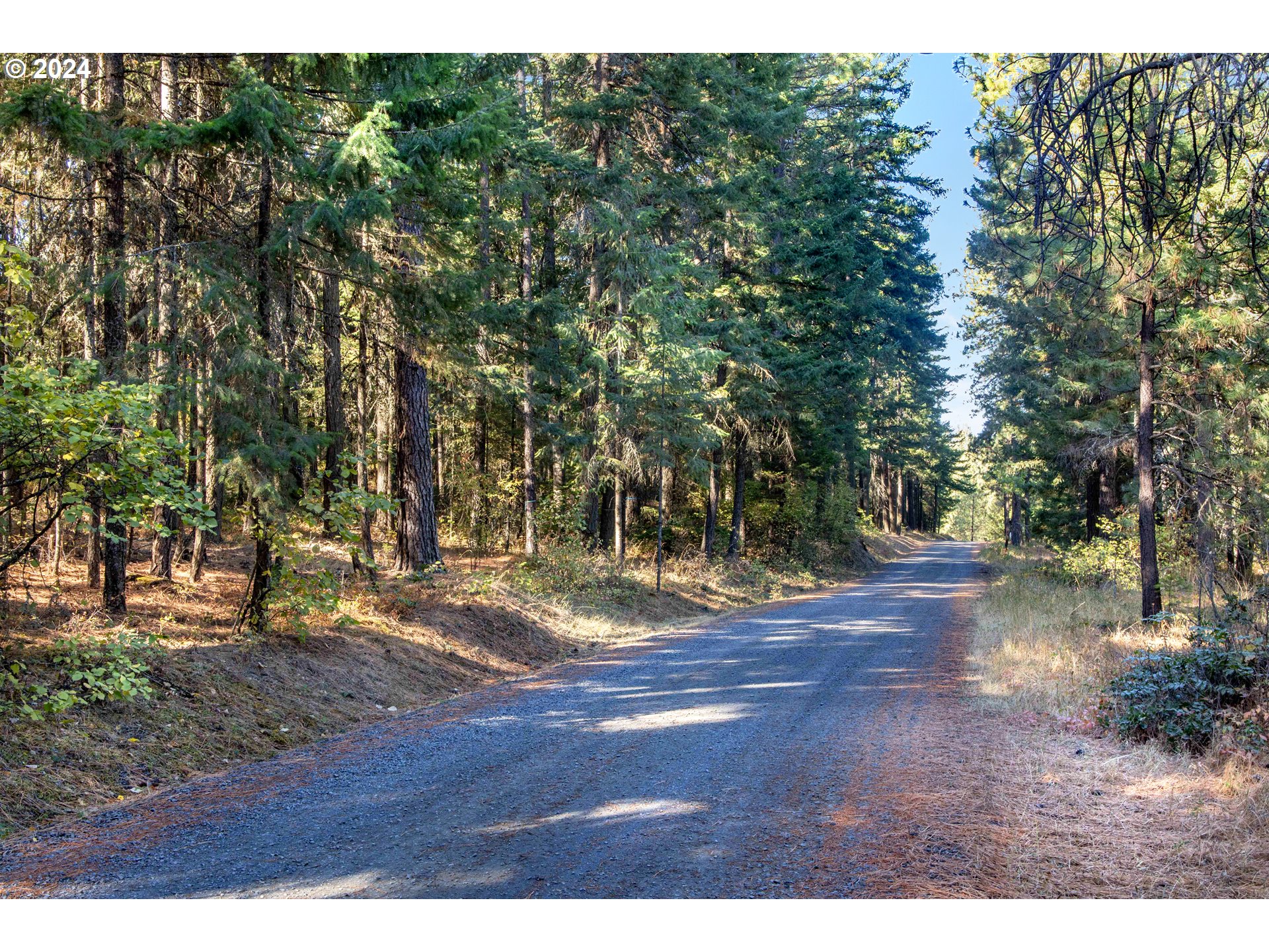 Paradise Ridge, Unit 1 Mosier, OR 97040 - Photo 18 of 22 Gallery Image 18